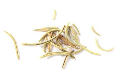 Pile of dry rosemary macro isolated on white background, top view