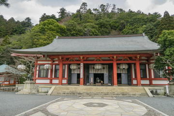 Fototapeta premium Refreshing summer in Kyoto,Japan