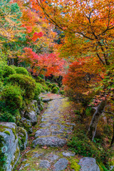 紅葉