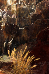 Parc national d'Ankarafantsilka, Ampijoara, Madagascar