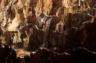 Parc national d'Ankarafantsilka, Ampijoara, Madagascar