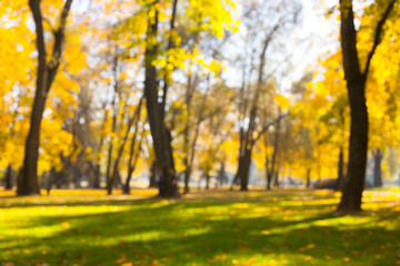 Obraz premium Defocused Beautiful Nature Autumn landscape