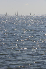 Yachts in Nida