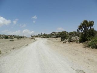 Eritrea, Africa - 05/10/2019: Travelling around the vilages near Asmara and Massawa. An amazing caption of the trees, mountains and some old typical houses with very hot climate in Eritrea.