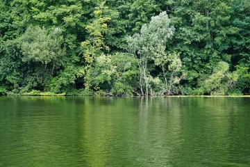 Grüne, sonnige Seenlandschaft in Berlin (Teufelssee im Grunwald)