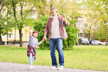 Cute little boy and his grandfather walking in park