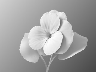 White Synthetic Flower Viola On Gradient Background