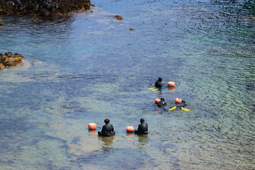 해녀들이 일하는 모습 이다.