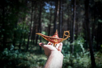 Antique artisanal Aladdin Arabian nights genie style oil lamp at the forest. Lamp of wishes fantasy...