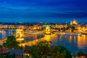 Foto op Aluminium Panoramic view of Budapest by night © monticellllo