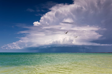Two seagulls and thundercloud over Evpatoria, Black Sea. Crimea. Colored waves and seagull. Selective focus