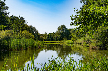 Photo of a natural beautiful small river in the summer on a sunny day in the forest. Great day, nice weather.