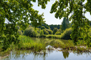Photo of a natural beautiful small river in the summer on a sunny day in the forest. Great day, nice weather.