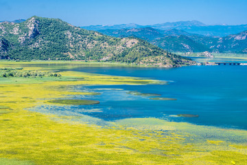 Skadar Lake in Montenegro, wetland and mountain views.