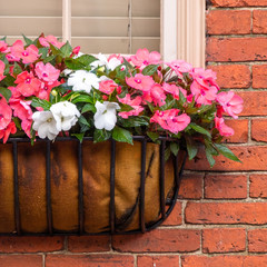 Flower Box