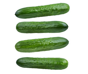 Fresh cucumber isolated on white background with clipping path