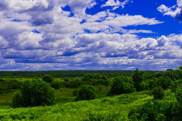 Fototapeta na wymiar rural landscape. field and clouds in summer