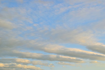 Ribbed clouds. Elongated clouds in the rays of the setting sun. Are highlighted in yellow light.