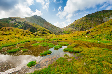 lake or swamp in the mountain