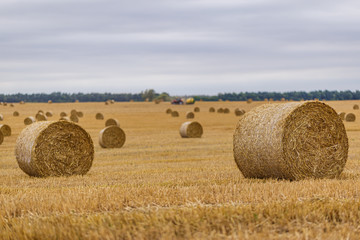 Fototapeta premium Hay roll on a meadow against a cloudy sky on a long focus with a tractor on a background
