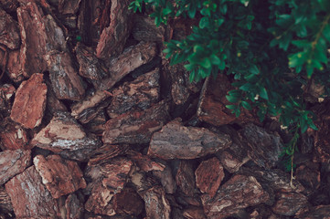 Natural background from brown pieces of wood chips from pine bark for gardening or natural themes....