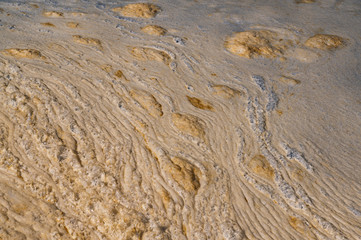Photo of natural dirty foam on a river during the summer day.