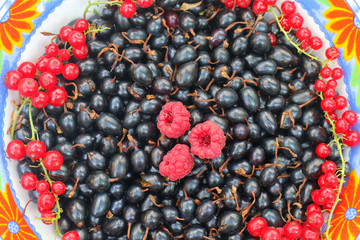 black and red currant and raspberry berries on a plate