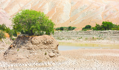 The pool of the dried lake, a lonely standing tree on a hill