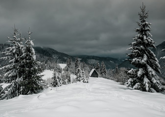 beautiful and hard winter in mountains