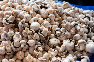 White button mushrooms stacked together at market stall in Yenifoca in Izmir province of Turkey.