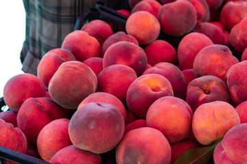 Many fresh red haven peach fruit stacked together at market stall in Yenifoca. Weekly  Wednesday market in Yenifoca in the Izmir province. No people.