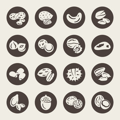 Nuts vector icons
