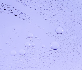 After the rain