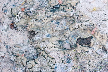 Dried mud on the ground in springtime.