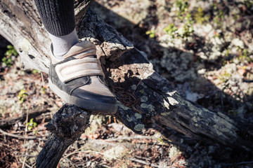 Girls legs in boots cross the forest through tree in hiking trip.