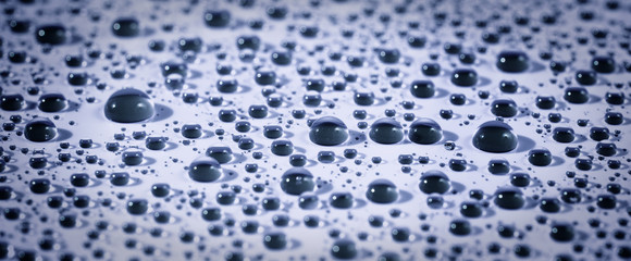 Water. Raindrops