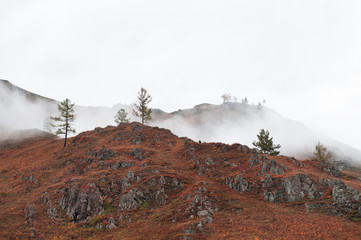 Autumn mountains in the morning fog. Altai, Siberia, Russia