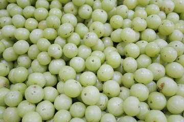 fruit close-up Thai fruit eggplant
