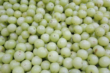 fruit close-up Thai fruit eggplant