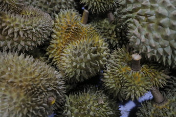 Naklejka na ściany i meble fruit thailand otop ancient Durian