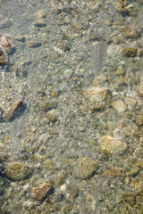 Stones in clear water of a river flowing , background.
