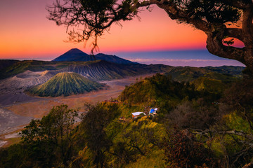 Fototapeta na wymiar The beautiful scenery of Mount Bromo National Park from the top of the hill with the foreground of a tree framing