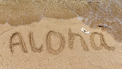 Aloha, the traditional Hawaiian greeting, written in the sand of a Hawaiian beach, with a traditional Frangipani flower and the water framing the text