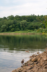 beautiful summer lake against the background of high mountains and blue sky