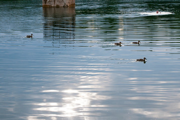 beautiful summer lake against the background of high mountains and blue sky