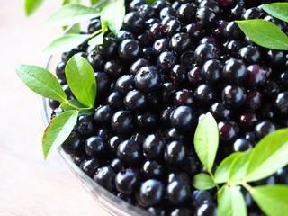 盛り付けられたブルーベリー