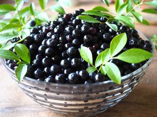 盛り付けられたブルーベリー