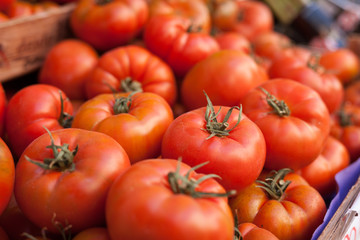 lots of tomatoes on a branch on counter