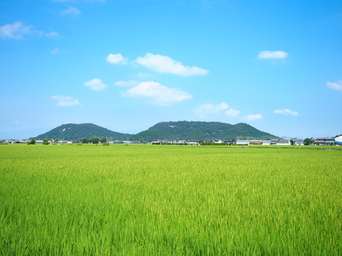 日本の田園風景