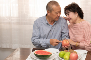 Obraz na płótnie Canvas Asian senior couple at home.